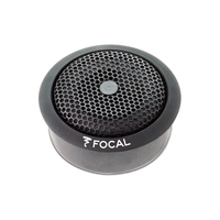 Focal TNF