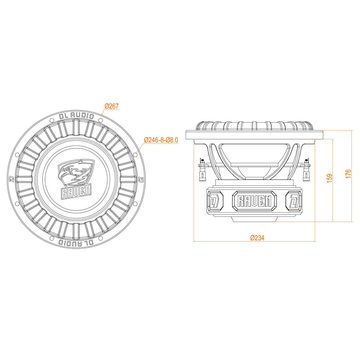 DL Audio Raven 10  V.2