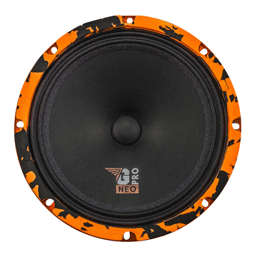 DL Audio Gryphon Pro 200 Neo - ракурс 2