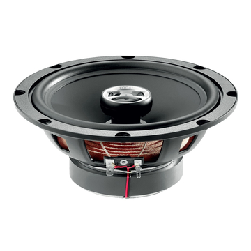 Focal Auditor RCX 165