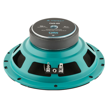 Aspect CWS-65