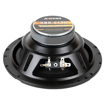 Avatar XBR-613U