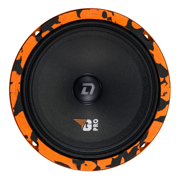 DL Audio Gryphon Pro 165 SE - ракурс 1