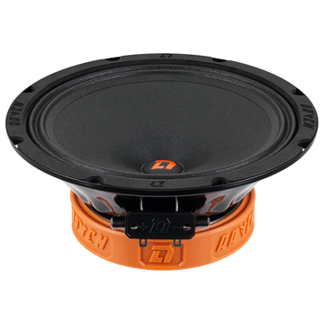 DL Audio Raven 200 V.2